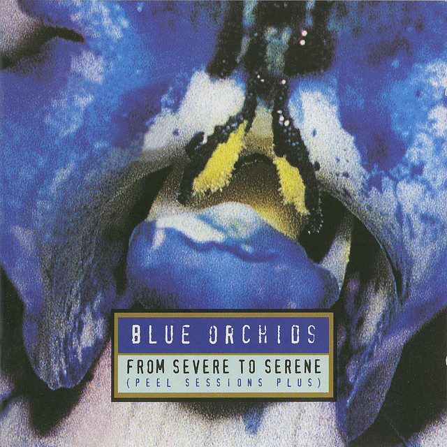 From Severe To Serene cover art