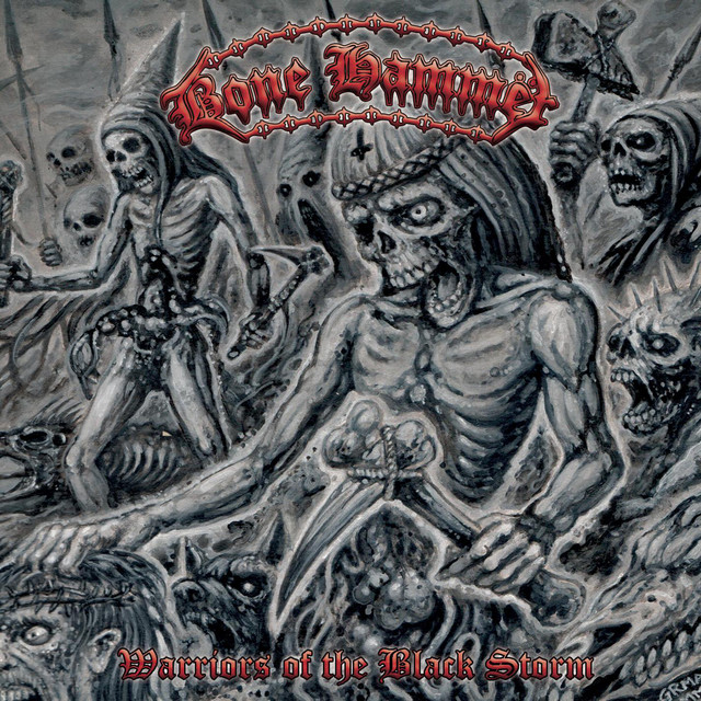 Warriors Of The Black Storm cover art