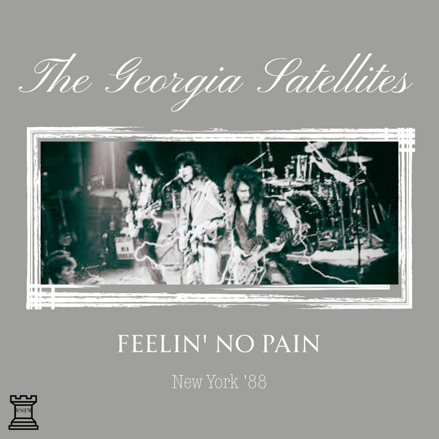 Feelin' No Pain (Live New York '88) cover art