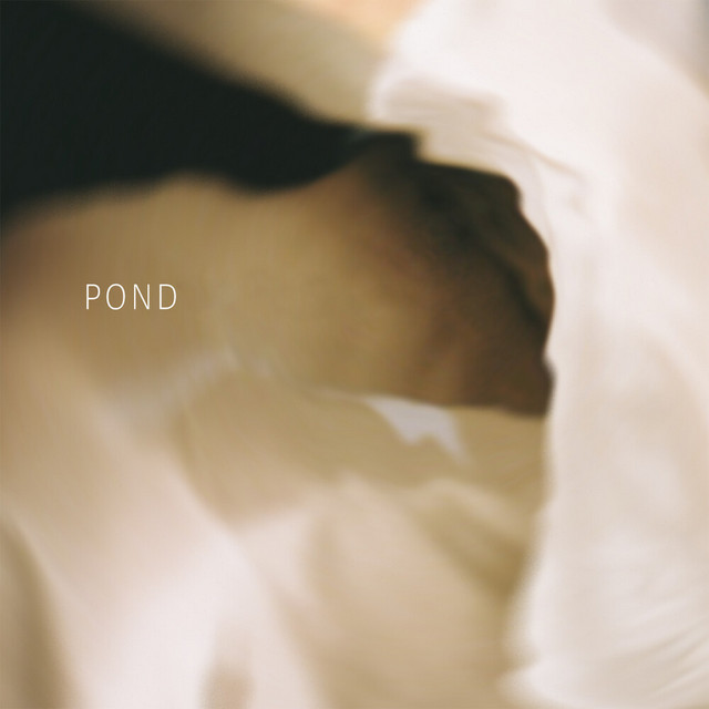 Pond album image