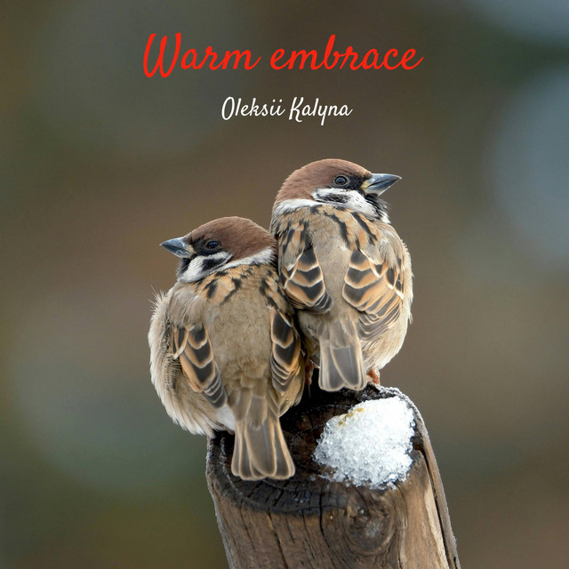Обкладинка: Warm embrace — Oleksii Kalyna