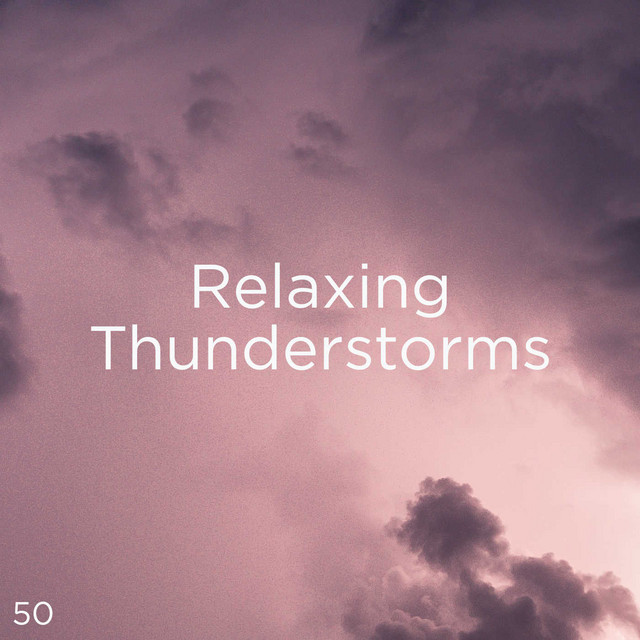 Thunderstorm Sound Effect - song and lyrics by Thunderstorm Sound Bank ...