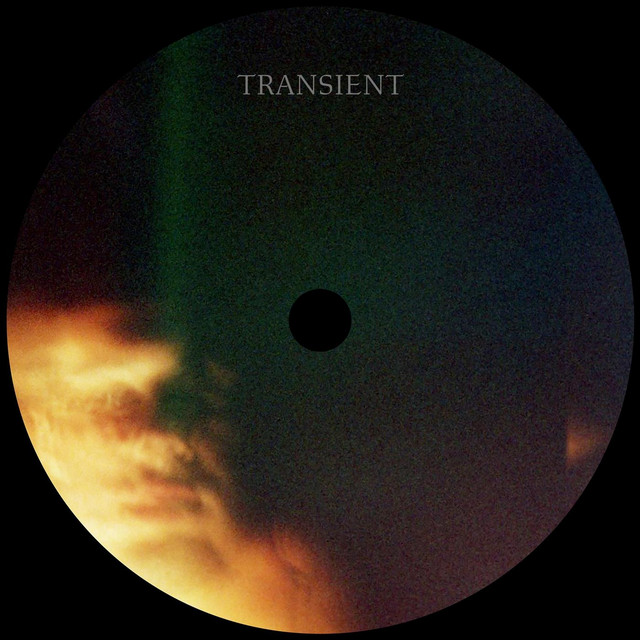 Transient cover art