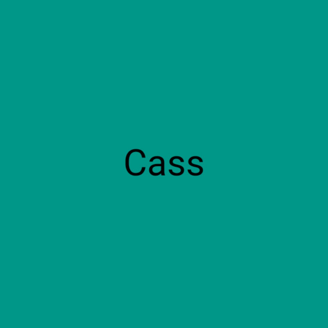 Cass cover art