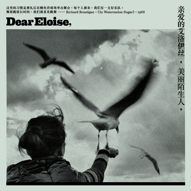 美丽的陌生人 cover art