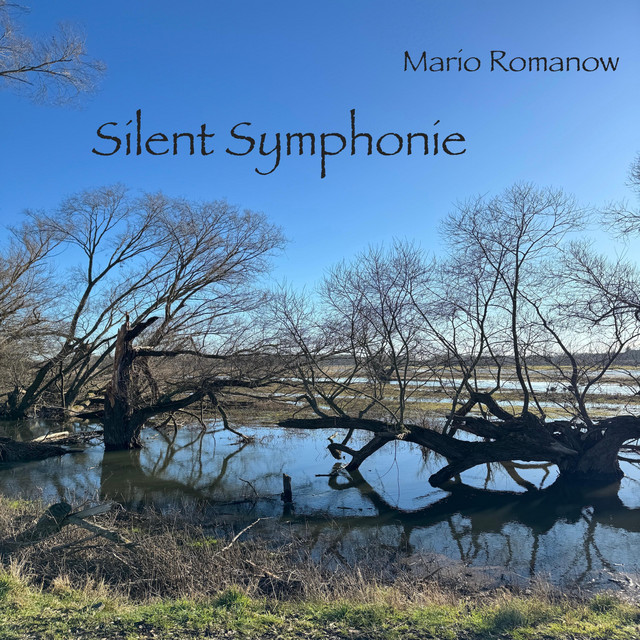 Silent Symphonie cover