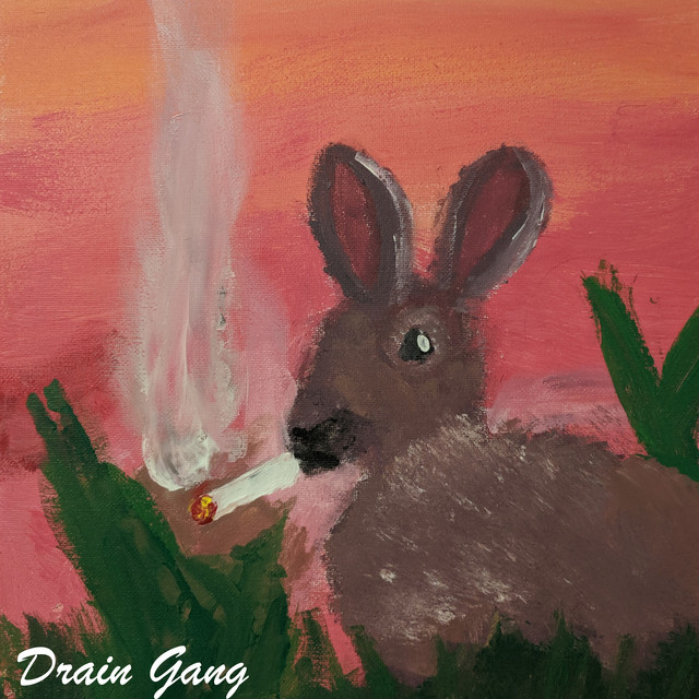 DRAIN GANG
