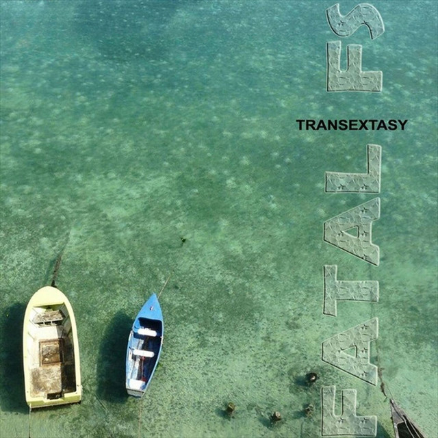 Fatal FS cover art