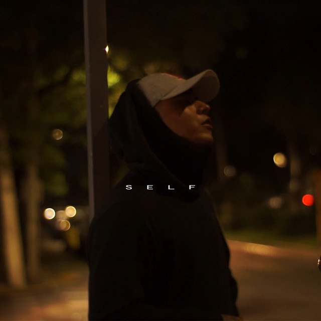 Self cover art