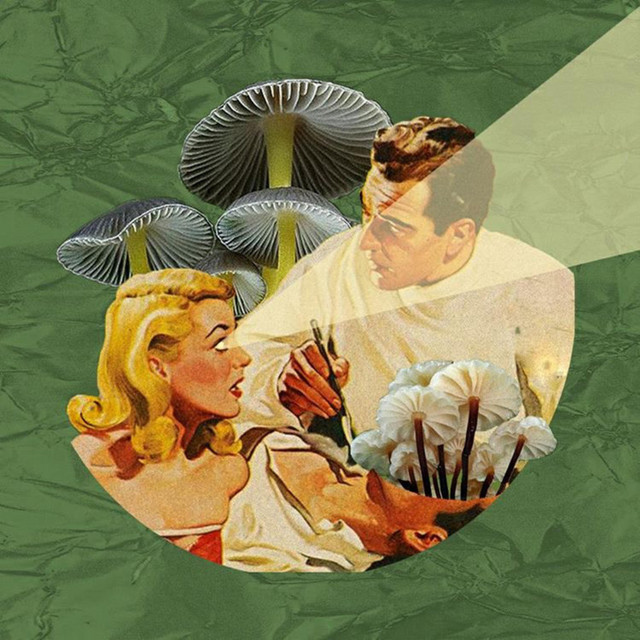Eu Vc cover