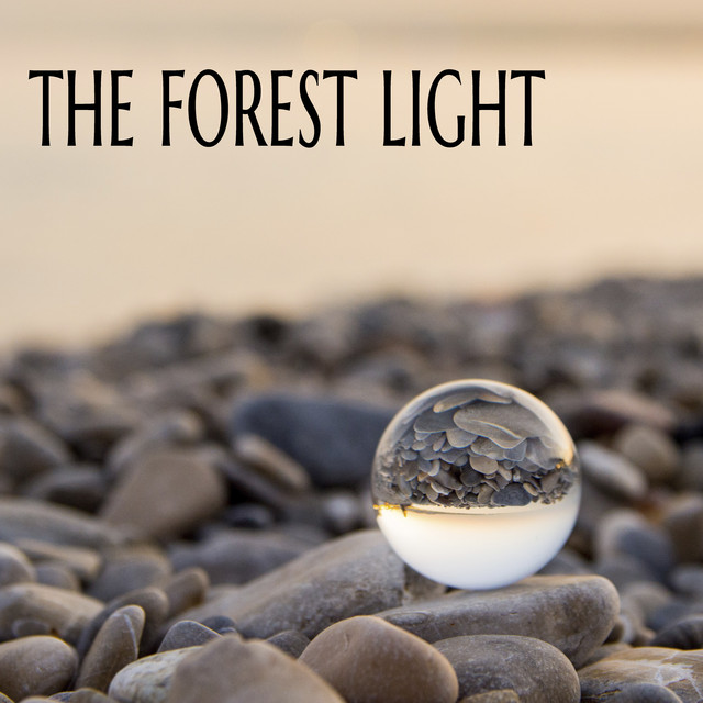 The Forest Light cover art