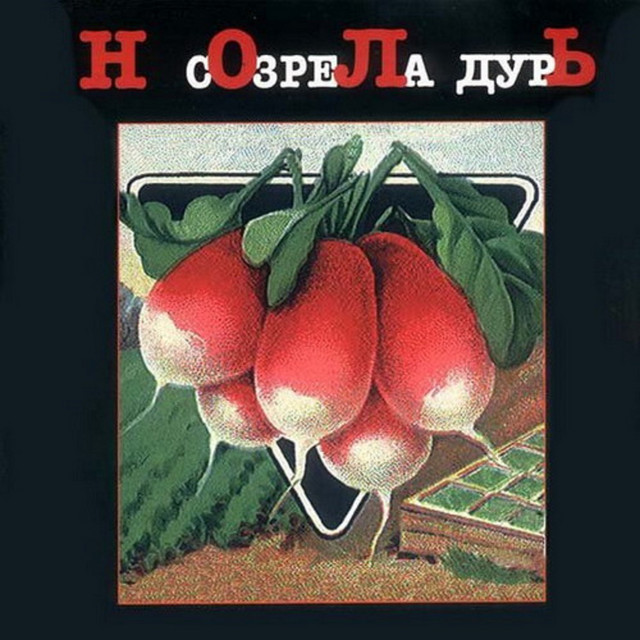 Созрела дурь cover art