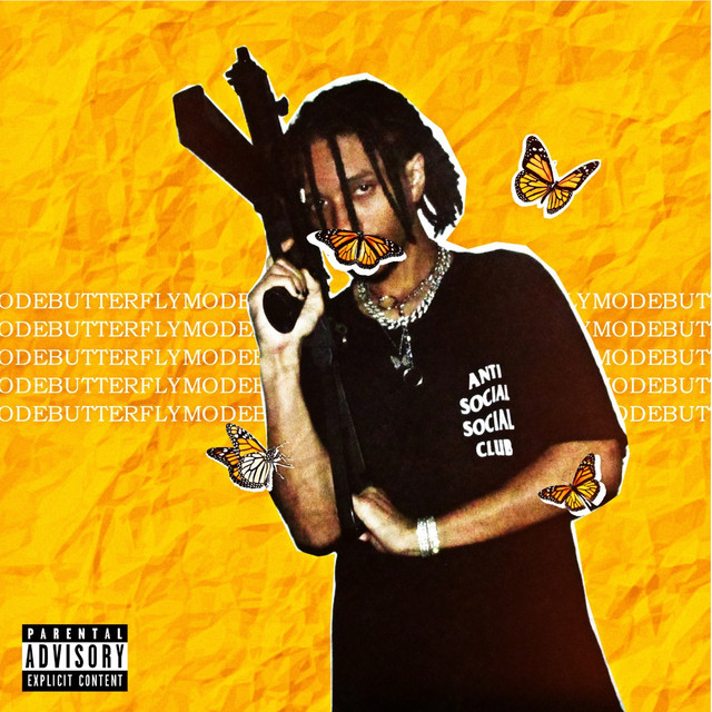 Butterfly Mode cover art