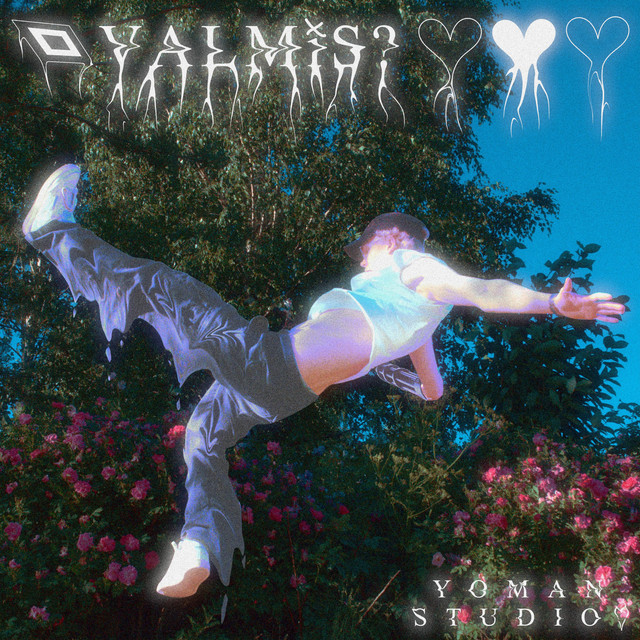 VALMiS? cover art