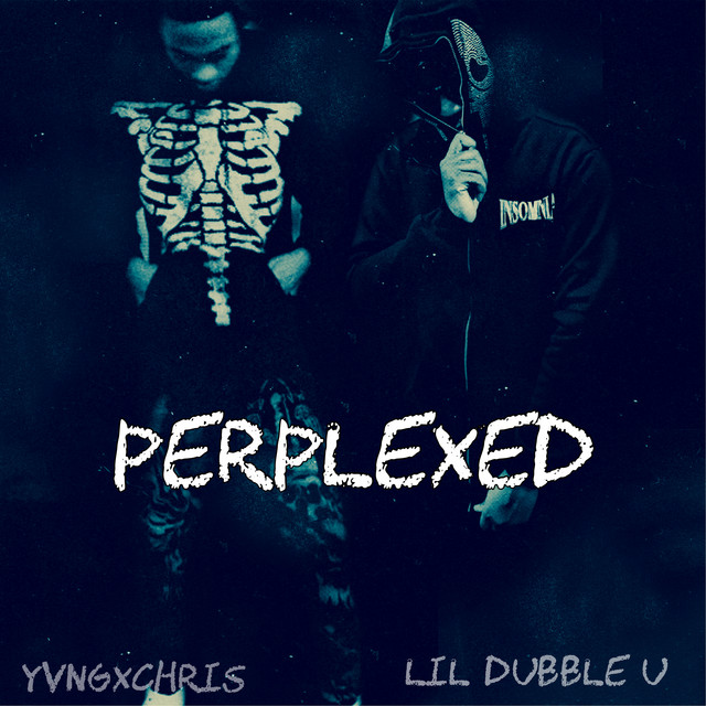 Perplexed cover art