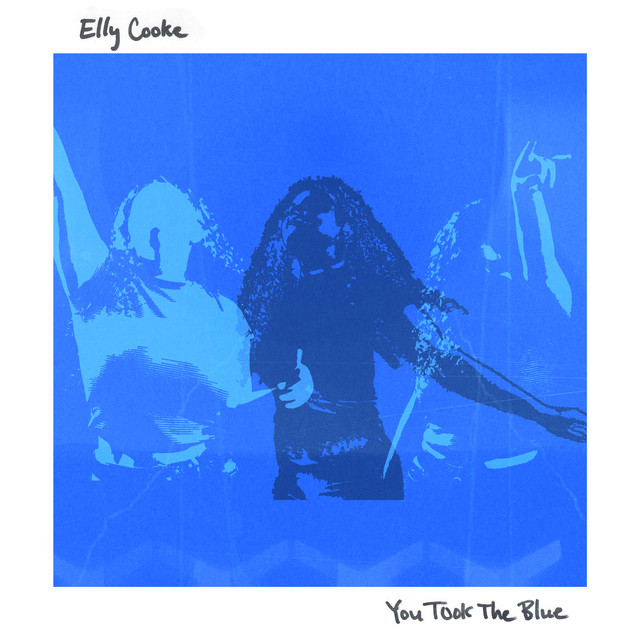 You Took the Blue cover