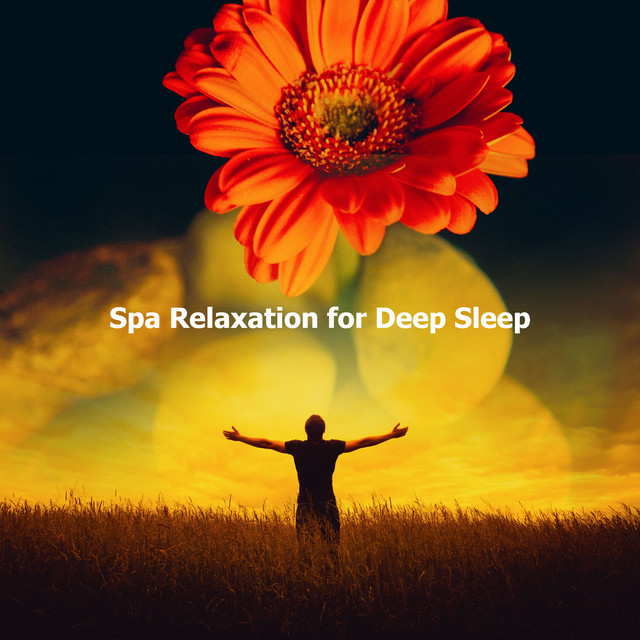 Spa Relaxation for Deep Sleep ! ! ! ! - Album by Spa & Relaxation | Spotify