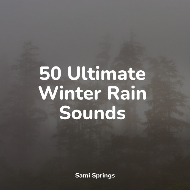 50 Ultimate Winter Rain Sounds - Album by Sleep Sound of Nature | Spotify
