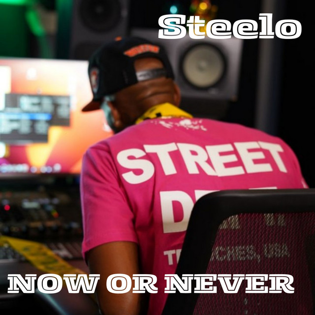 Now or Never - Album by Steelo | Spotify