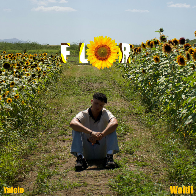 FLOR