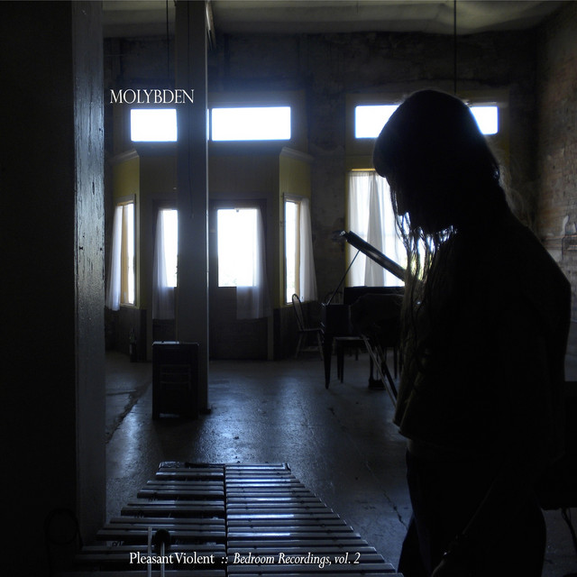 Pleasant Violent cover