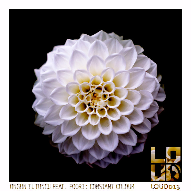 Dear You album art