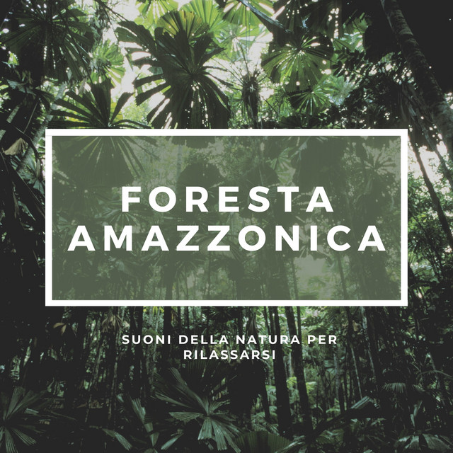 Suoni della natura rilassanti per il sonno - song and lyrics by Nature ...