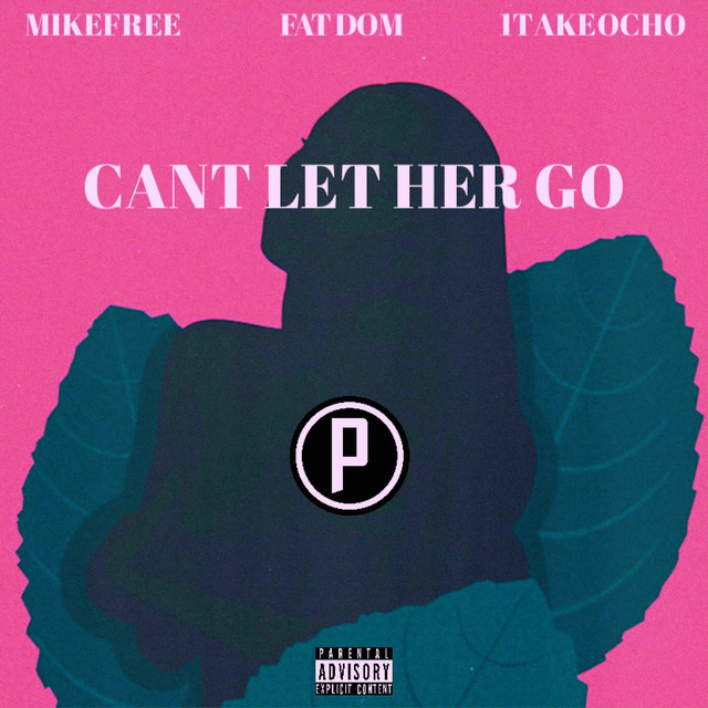 Cant Let Her Go