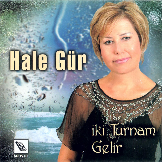 İki Turnam Gelir cover art