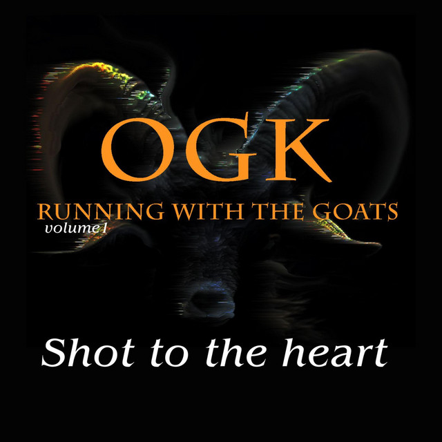Shot To The Heart cover