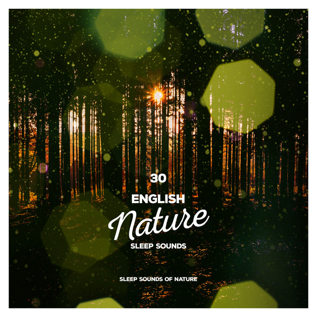 30English Nature Sleep Sounds - Album by Sleep Sounds of Nature | Spotify