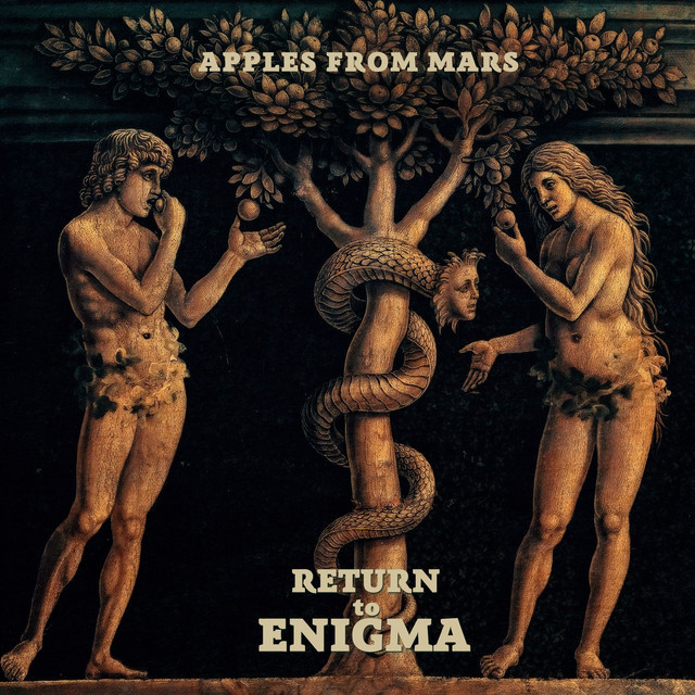 Return to Enigma cover