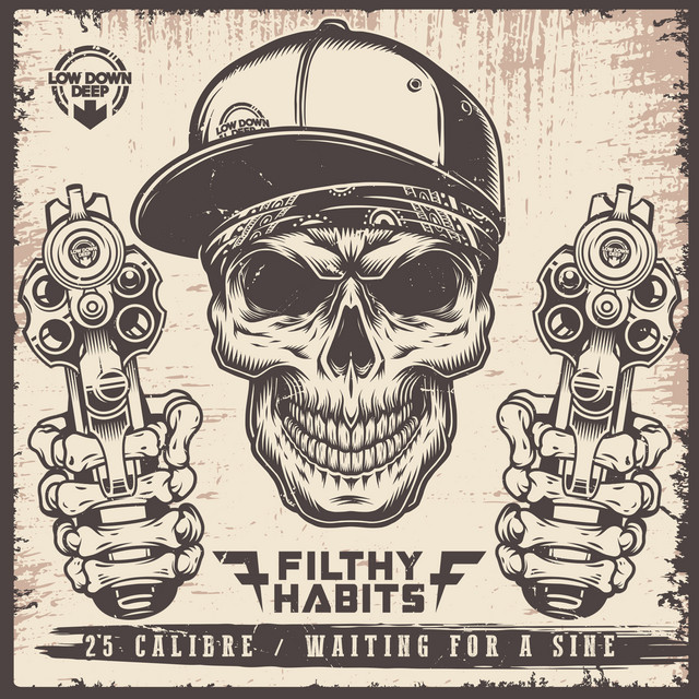 25 Calibre artwork