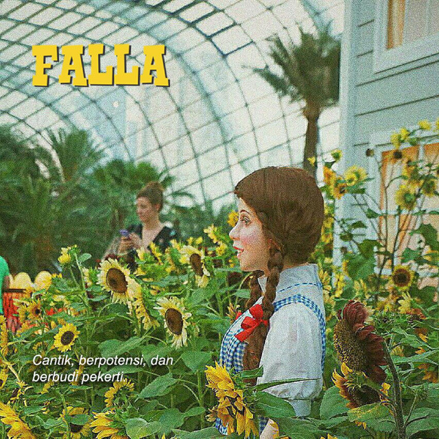 Falla cover art