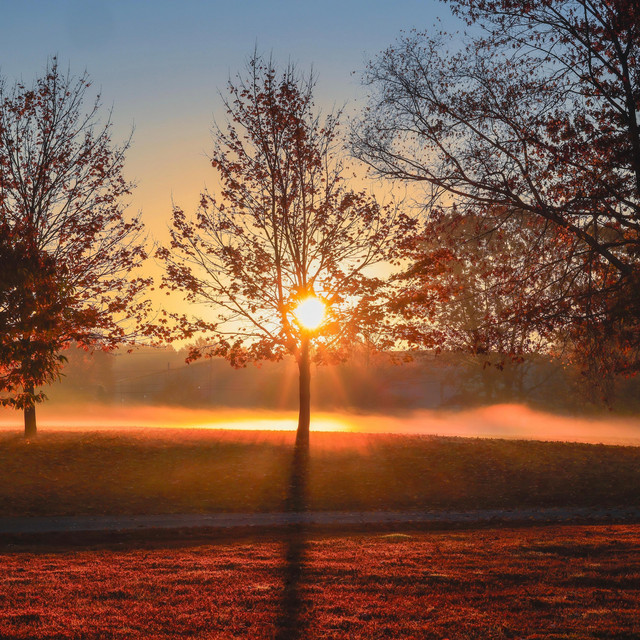Evening Light - Remix