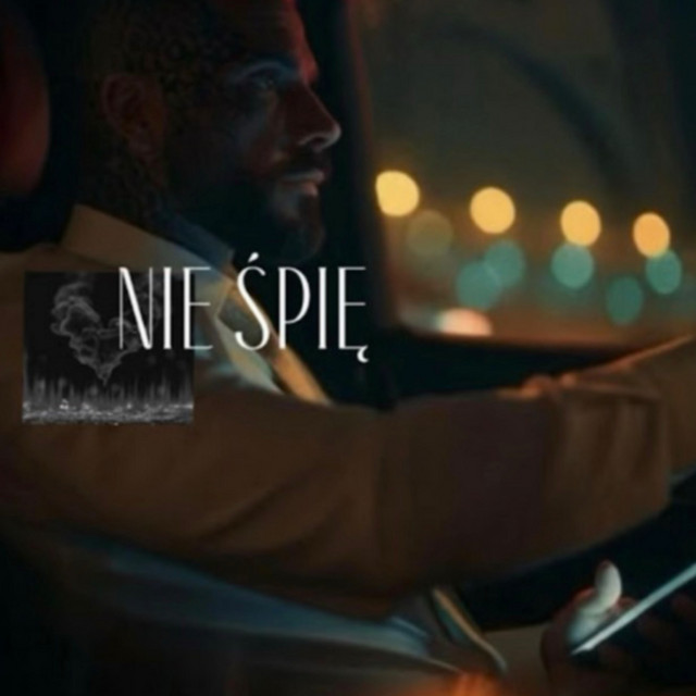 NIE ŚPIĘ cover art