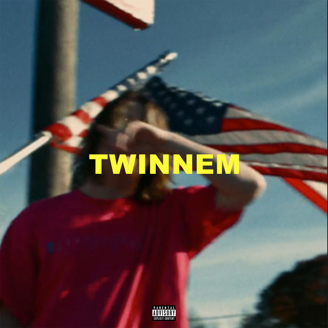Twinnem