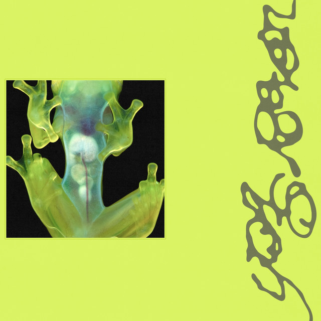 Bolle album art