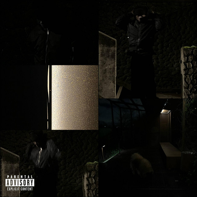 lost cover art