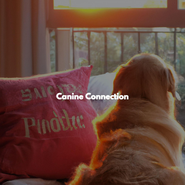 Canine Connection cover art