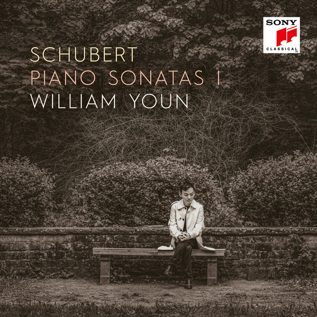 Piano Sonata No. 21 in B-Flat Major, D. 960: III. Scherzo. Allegro vivace con delicatezza