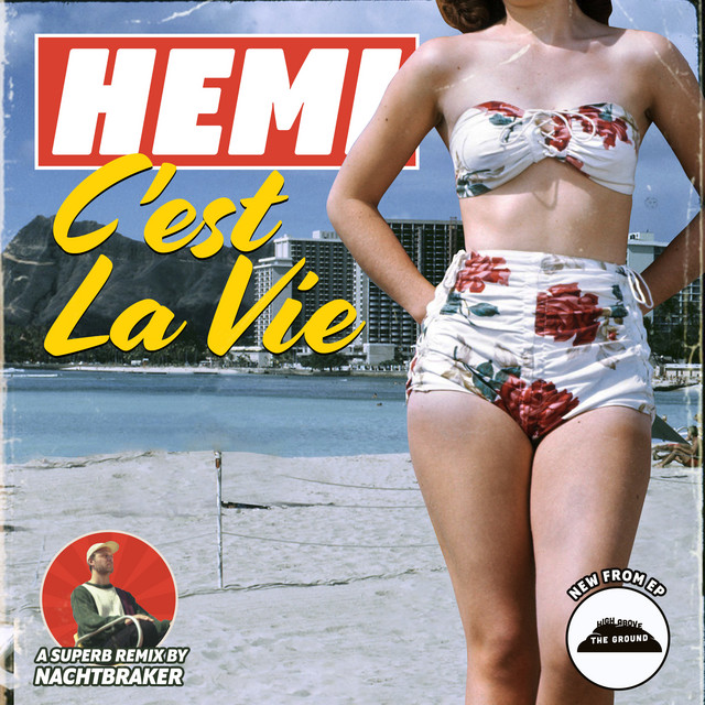 C'est La Vie - Nachtbraker Remix album art