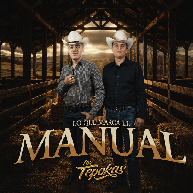 Desde Topo Hasta La Sierra cover art