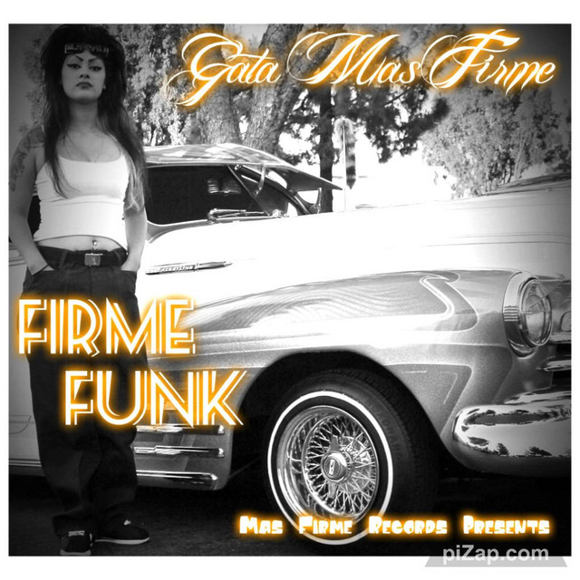 Firme Funk (not full album) cover art