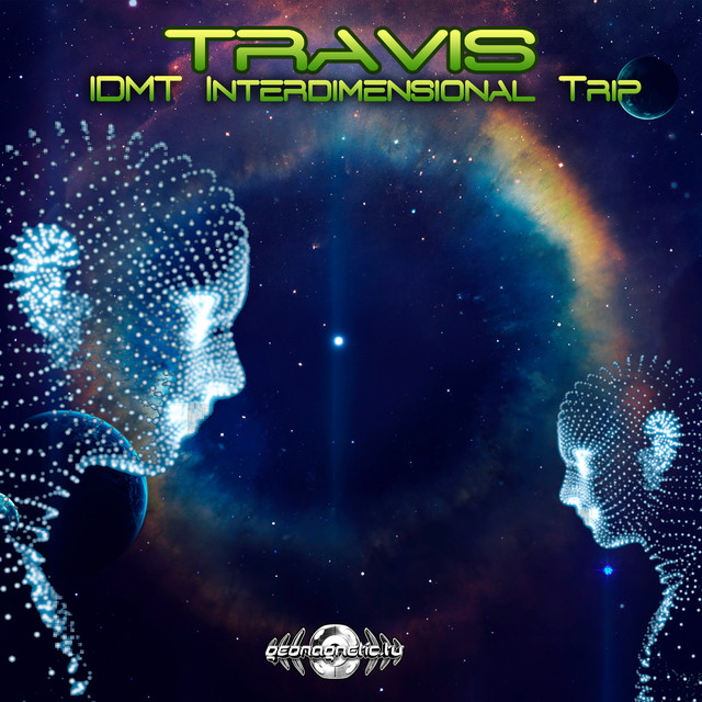 IDMT (Interdimensional Trip) cover art