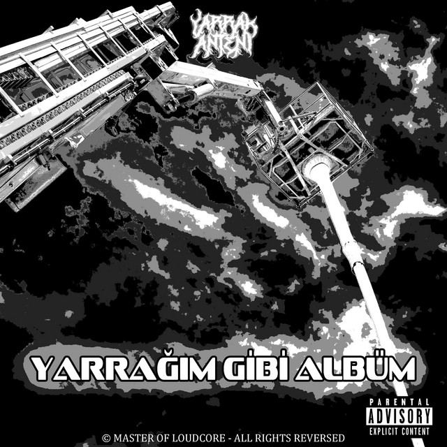 punk-ne-amk-s-k-var-m-zik-ve-ark-s-zleri-yarrak-anteni-spotify