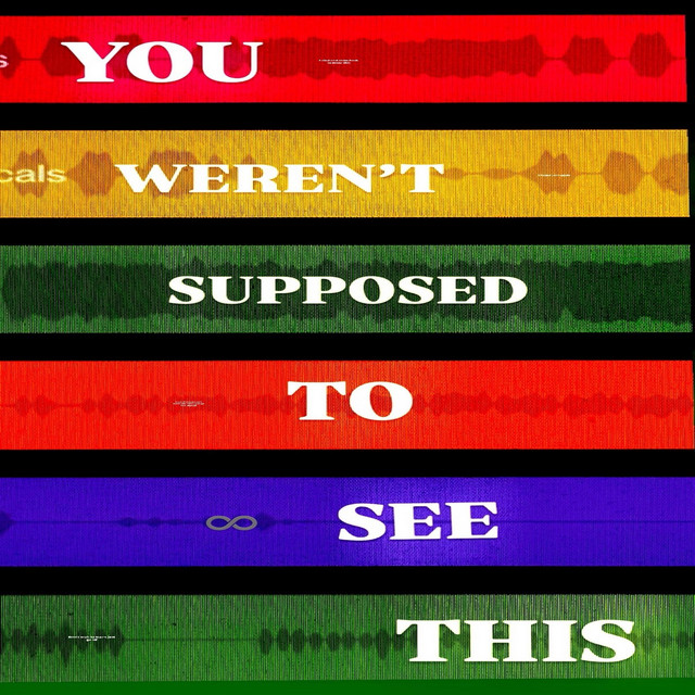 YOU WEREN'T SUPPOSED TO SEE THIS cover art