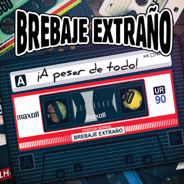 ¡A Pesar de Todo! cover art