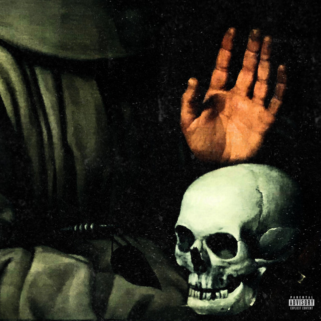 BEHAVIORS OF CONCERN cover art