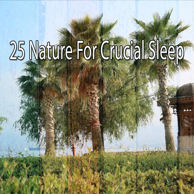 25 Nature For Crucial Sleep - Album by Nature Sounds Nature Music | Spotify